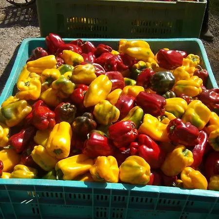 Agriturismo La Desiderata *